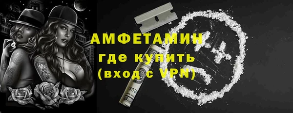 сатива Каменка