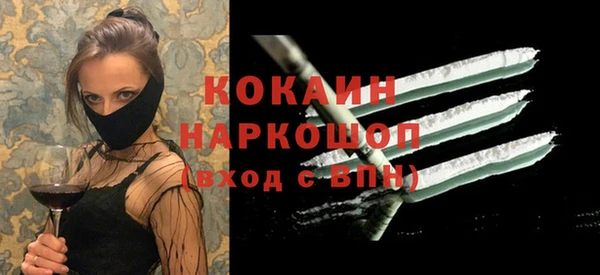 сатива Каменка