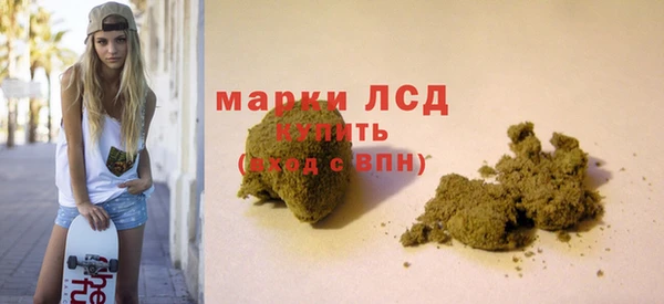 сатива Каменка
