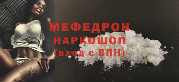 сатива Каменка