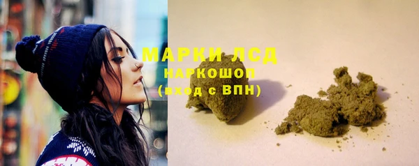 прущие грибы Каменск-Шахтинский