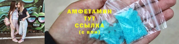 прущие грибы Каменск-Шахтинский