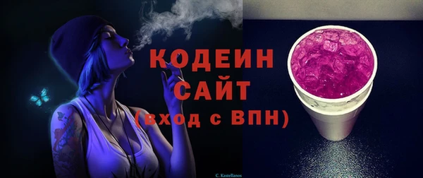 сатива Каменка