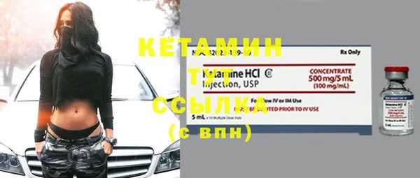 сатива Каменка