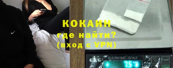 сатива Каменка