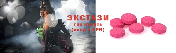 сатива Каменка