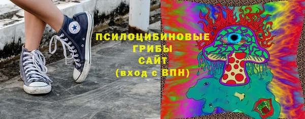сатива Каменка