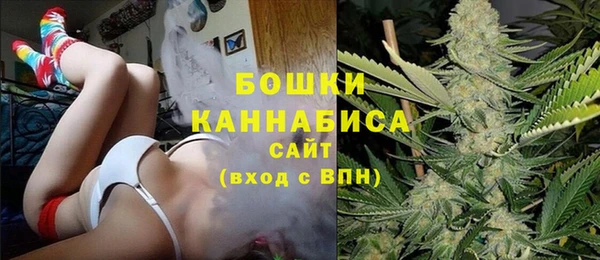 сатива Каменка