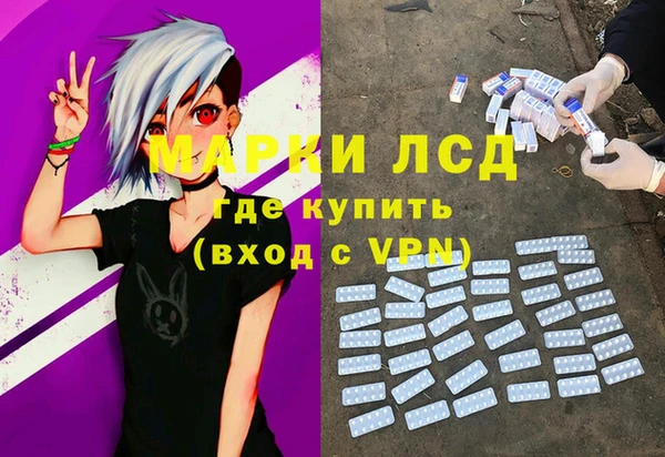 сатива Каменка