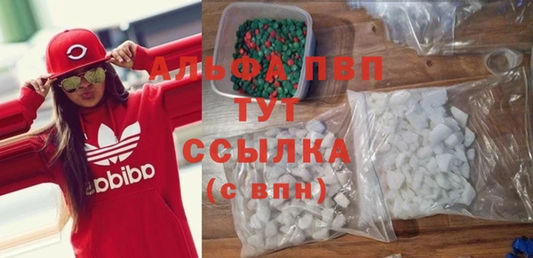 сатива Каменка