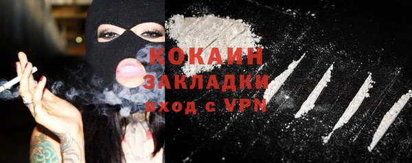 прущие грибы Каменск-Шахтинский
