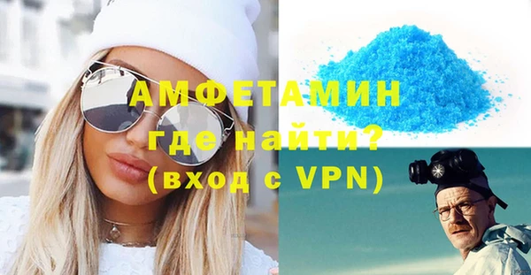 сатива Каменка