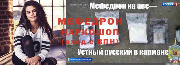 сатива Каменка