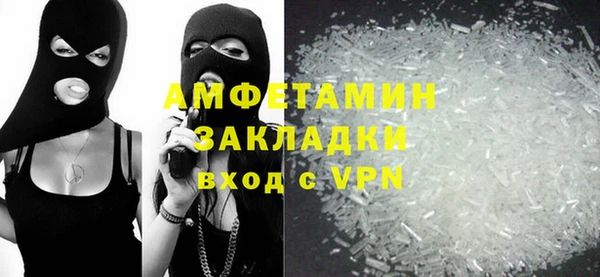 сатива Каменка