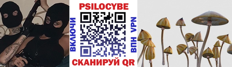 Купить  Дмитровск  Псилоцибиновые грибы прущие грибы 